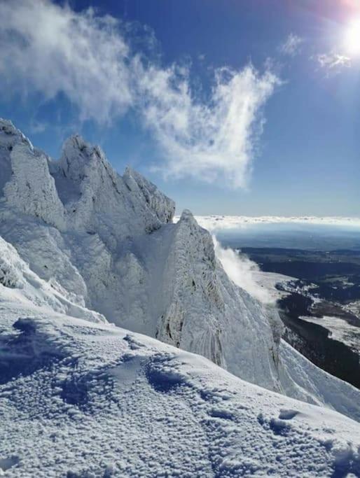 Appartement Chaleureux Et Cosy Le Mont-Dore Eksteriør bilde